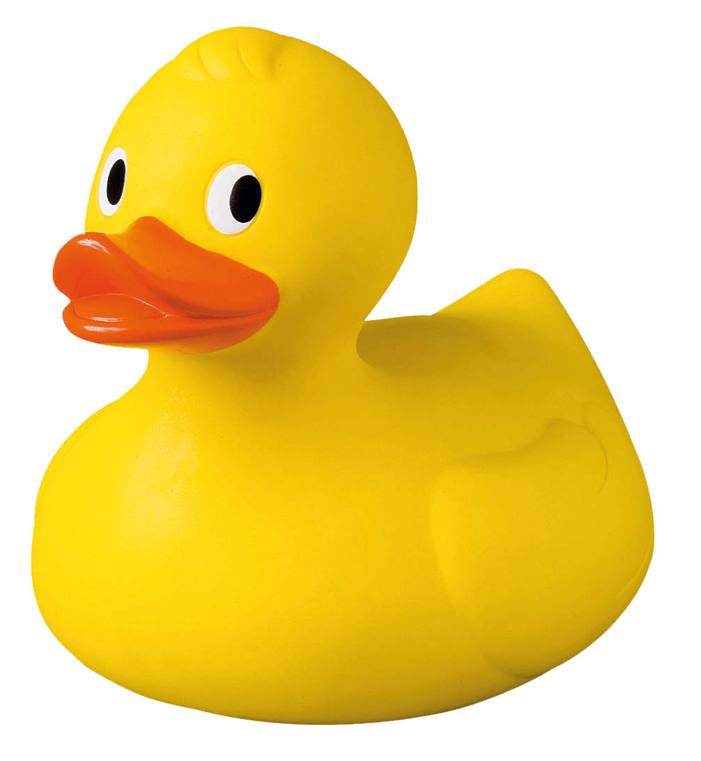 rubber duck